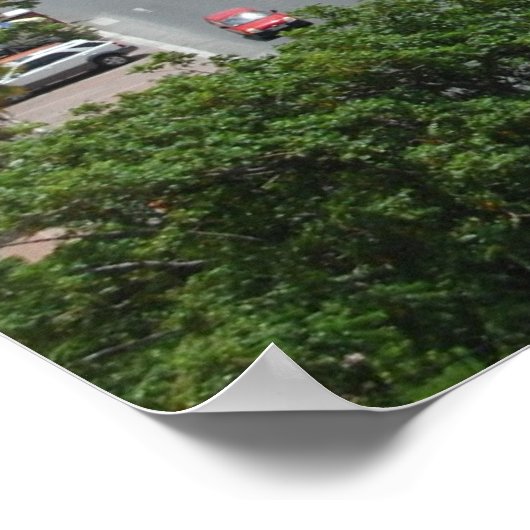 Sint-Maarten - Marigot Bay Poster afdrukken (Hoek)