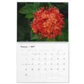 Sint Maarten - Sint Martin, kalender voor twaalf m (Feb 2027)