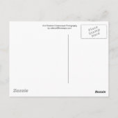 Sint Maarten - St. Martin Ocean Blue Seascape Post Briefkaart (Achterkant)