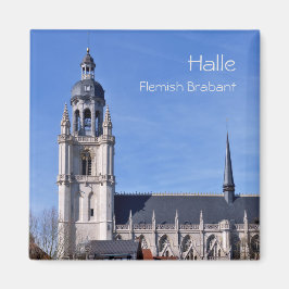 Sint Martinus basiliek in Halle, België reis Magneet