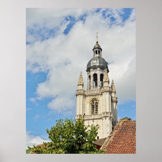 Sint-Martinusbasiliek in Halle, België Poster (Voorkant)