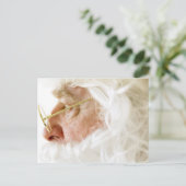 Sint-Nicolaas-Wenskaarten, Briefkaarten, stickers Briefkaart (Staand voorkant)