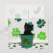 Sint Patrick's Day Cat/Kitten Briefkaart (Voorkant / Achterkant)