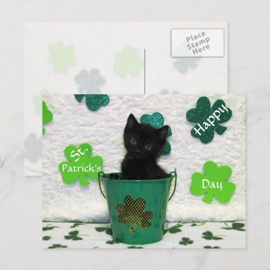 Sint Patrick's Day Cat/Kitten Briefkaart (Voorkant / Achterkant)