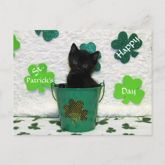 Sint Patrick's Day Cat/Kitten Briefkaart (Voorkant)