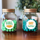 Sint-Patrick's Day Gender Reopenbaart Stickers (Bo