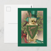 Sint-Patrick's Day Kat Briefkaart (Voorkant / Achterkant)