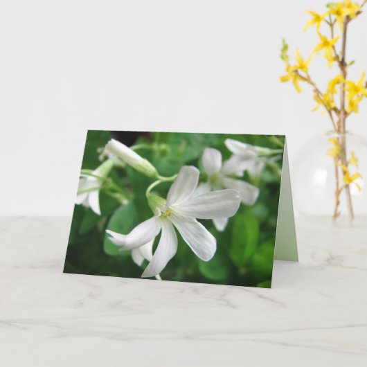 Sint-Patrick's Day Shamrock Flowers Kaart (Gele Bloem)