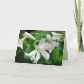 Sint-Patrick's Day Shamrock Flowers Kaart (Voorkant)