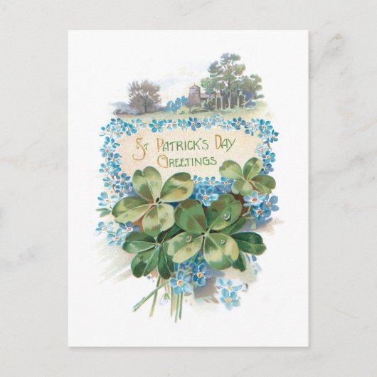 Sint Patrick's Day Shamrocks Briefkaart (Voorkant)