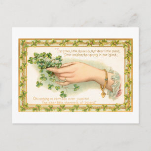  Sint Patrick's Day Shamrocks Briefkaart