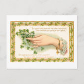  Sint Patrick's Day Shamrocks Briefkaart (Voorkant)