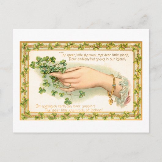  Sint Patrick's Day Shamrocks Briefkaart (Voorkant)