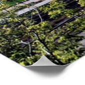 Sint-Paul, Landschap Minnesota Poster (Hoek)