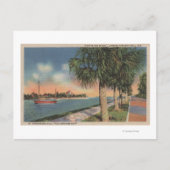 Sint-Petersburg, FL - Uitzicht van Koffee Pot Briefkaart (Voorkant)