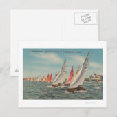 Sint-Petersburg, FL - Uitzicht van Lightning Regat Briefkaart (Voorkant / Achterkant)