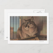 Sint-Petersburg, Florida - Afbeelding van Florida Briefkaart (Voorkant / Achterkant)