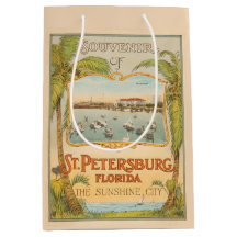 Sint-Petersburg Florida de Zonnestad 