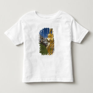 Sint-Petersburg, Grand Cascade fonteinen Kinder Shirts