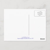 Sint-Petersburg, Rusland - Briefkaart (Achterkant)