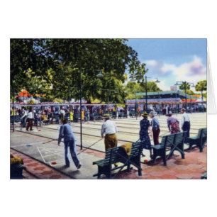 Sint-Petersburg Shuffleboard Courts