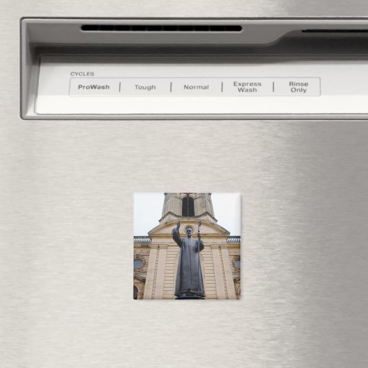 Sint-Philip's kathedraal - standbeeld van Charles  Magneet (Insitu (Vaatwasser))