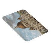 Sint-Pietersbasiliek in Vaticaanstad Magneet (Rechterzijde)