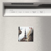 Sint-Pieterskerk, Riga, Letland. Magneet (Insitu (Vaatwasser))