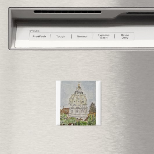 Sint-Pietersmagneet Magneet (Insitu (Vaatwasser))