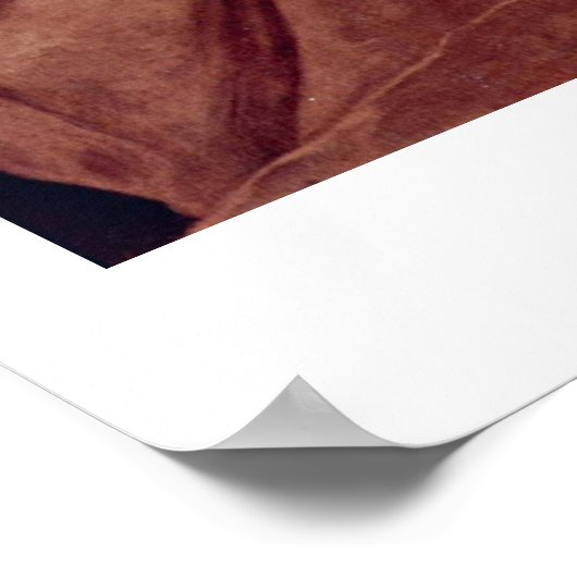 Sint-Simeon en Christus kind door Jusepe de Ribera Poster (Hoek)