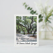 Sint-Simons GA-rondzwervende eikenboom Briefkaart (Staand voorkant)