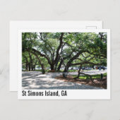 Sint-Simons GA-rondzwervende eikenboom Briefkaart (Voorkant / Achterkant)