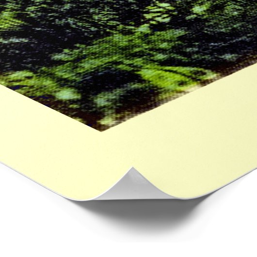  Sint Thomas Maagdeneilanden Poster (Hoek)