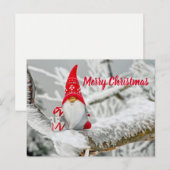 Sinterkerstkerstkerstcadeautje Gnome Festive Holid Briefkaart (Voorkant / Achterkant)