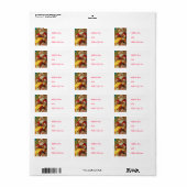 Sinterklaas Adresetiketten Etiket (Full Sheet)