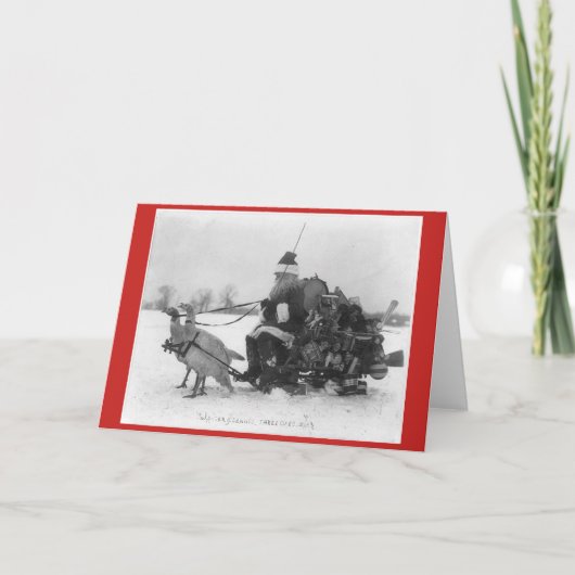 Sinterklaas met Kaarten van kalkoenen met slede (Voorkant)