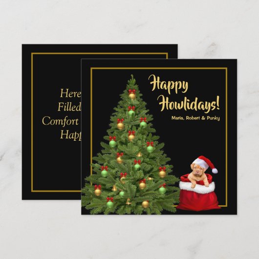 Sinterklaas met kerstcadeaubon feestdag feestdagenkaart (Voorkant / Achterkant)