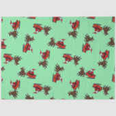 Sinterklaas met sluw groen tissuepapier (Voorkant)