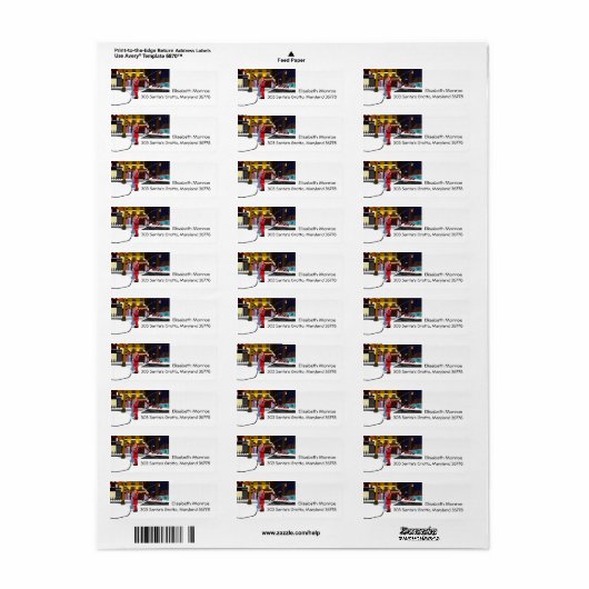 Sinterklaas op Broadway Kerstmis Etiket (Full Sheet)