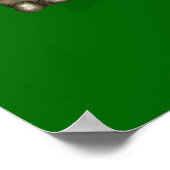 Sinterklaas op Triceratops Poster (Hoek)