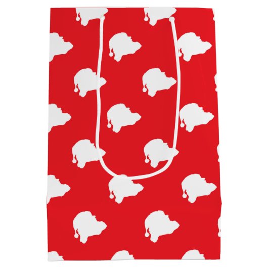 Sinterklaas rood medium cadeauzakje (Achterkant)