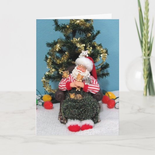 Sinterklaas' slaapje met katjes kaart (Voorkant)