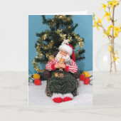 Sinterklaas' slaapje met katjes kaart (Gele Bloem)