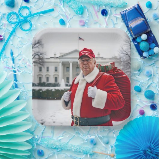 Sinterklaas Trump met rode zak Papieren Bordje (Feest)