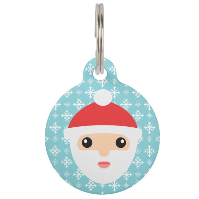 Sinterklaas van de Cartoon met de gegevens van het Huisdierpenning (Voorkant)