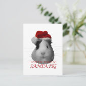 Sinterklaas Varken Cavia Kerst Feestdagen (Staand voorkant)