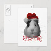 Sinterklaas Varken Cavia Kerst Feestdagen (Voorkant / Achterkant)