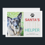 Sinterklaas voor de kerstman - Pet Photo Holiday F Feestdagenkaart<br><div class="desc">Deze zijn feestelijk en perfect voor dit vakantieseizoen!</div>