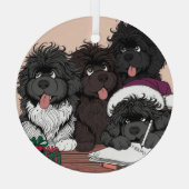Sinterklaaslijst, twee keer controleren glas ornament (Achterkant)