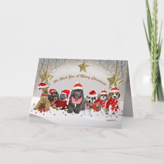 Sinterklankers genieten van feestdagen (Voorkant)